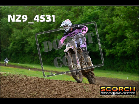 Experts-248