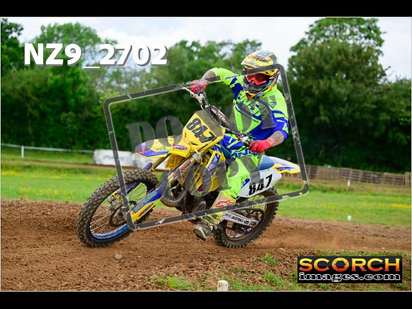 Novice-291