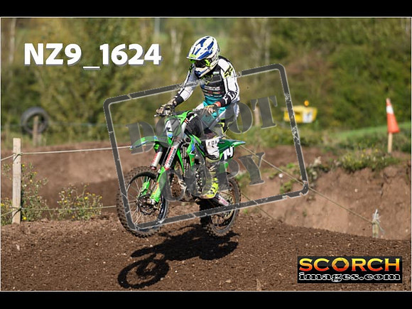 Experts-304