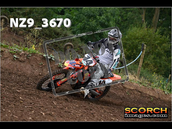 IntersGreenOrange-036