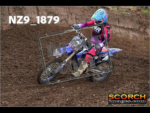 Experts-099