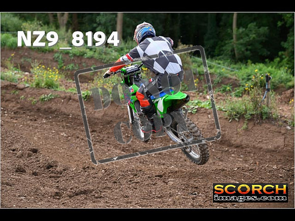 Experts-131