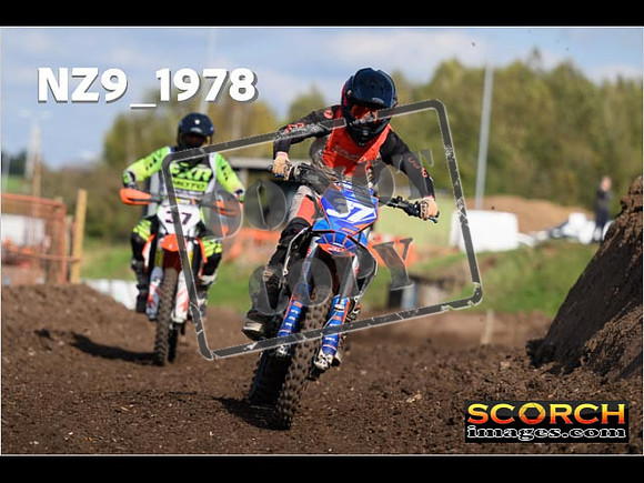 Experts-321
