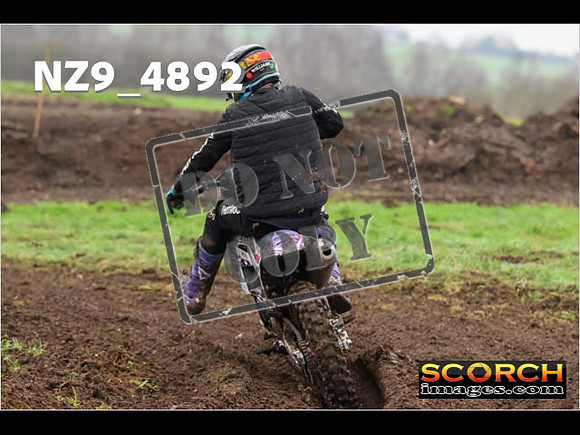 Experts-365