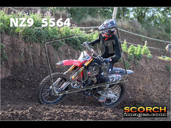 Experts-091
