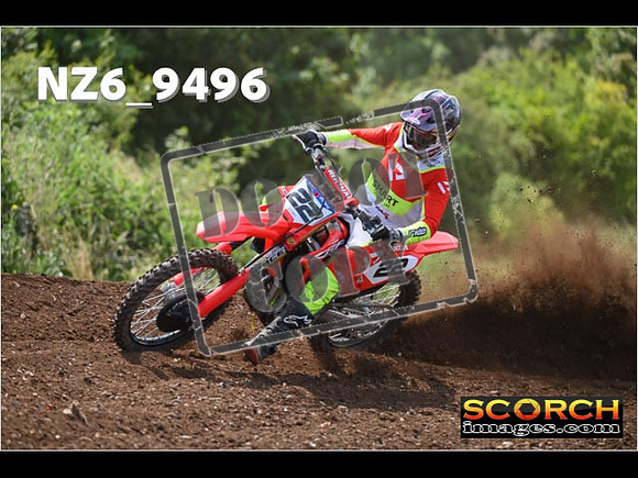 Experts-260