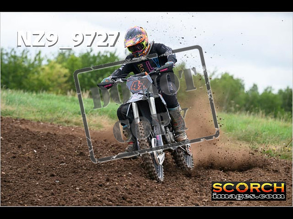Experts-119