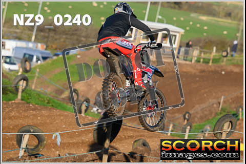 Experts-124