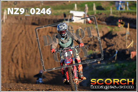 Experts-130
