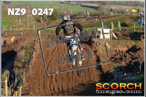 Experts-131