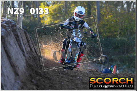 Experts-018
