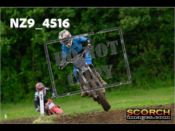 Experts-233