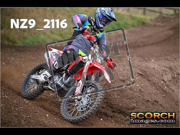 IntersOrange-124