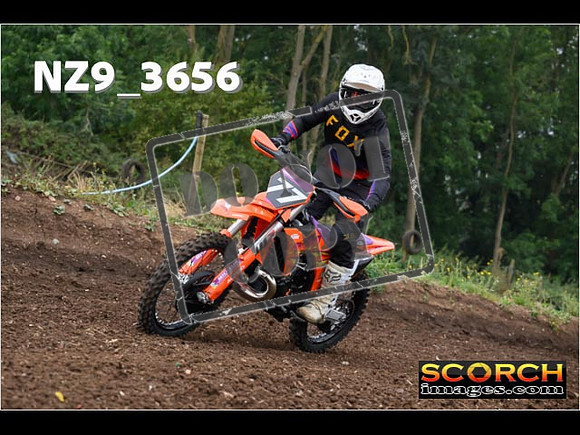 IntersGreenOrange-022
