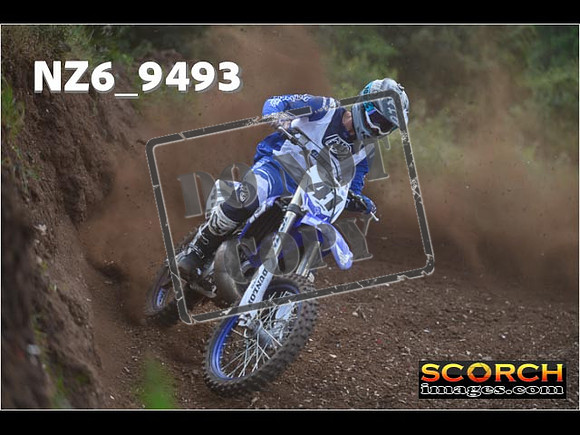 Experts-257