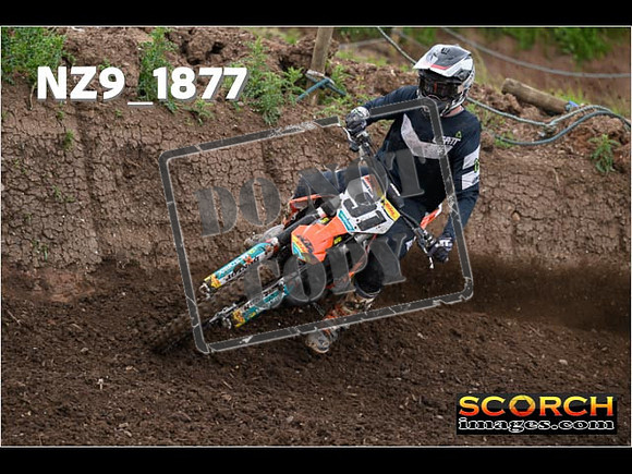 Experts-097