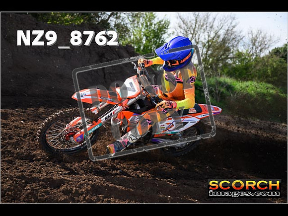 Experts-009
