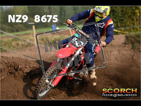 Experts-081