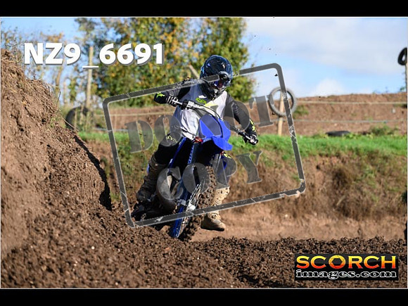 Experts-087