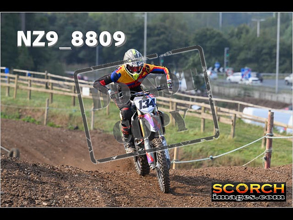 Intermediates-117