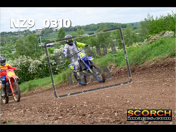 IntersGreen-255