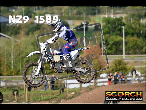 Experts-271