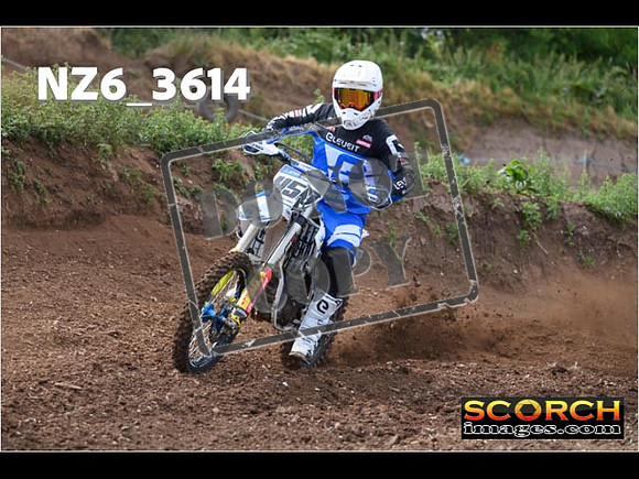 Experts-041