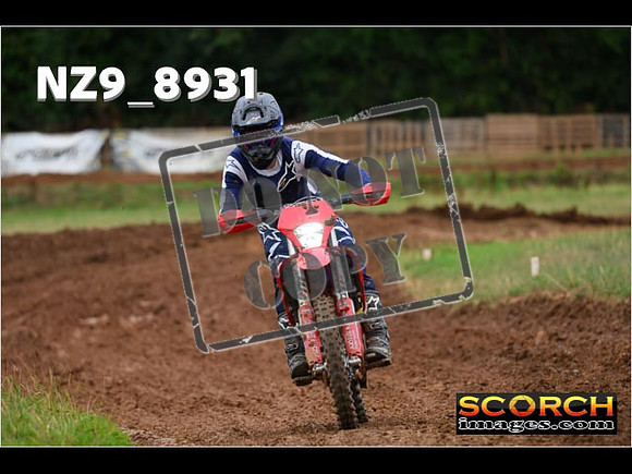 Experts-147