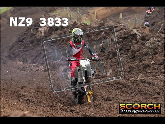 Experts-029