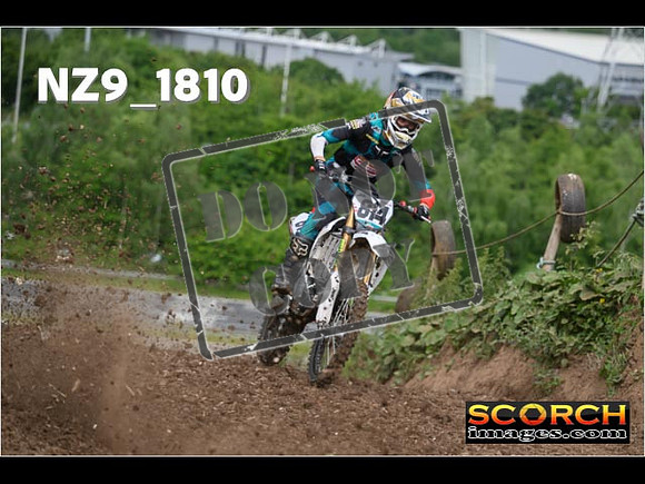 Experts-033
