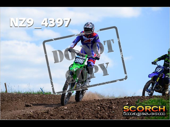 InterGreen-296