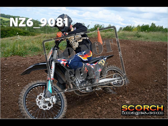 Experts-146