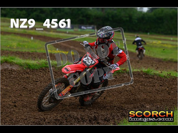 Experts-277