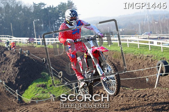 IMGP1446