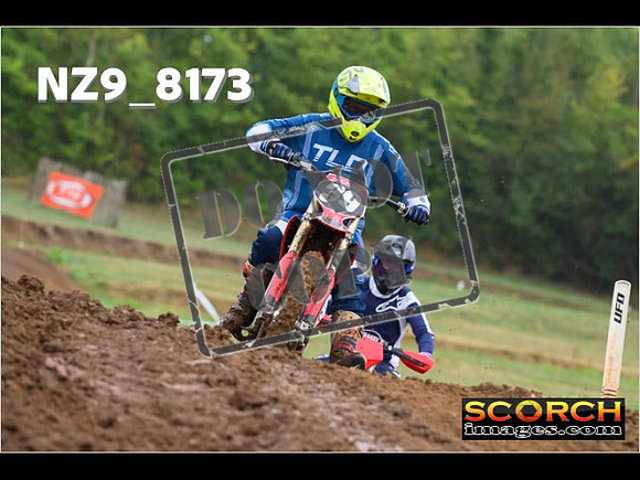 Experts-043