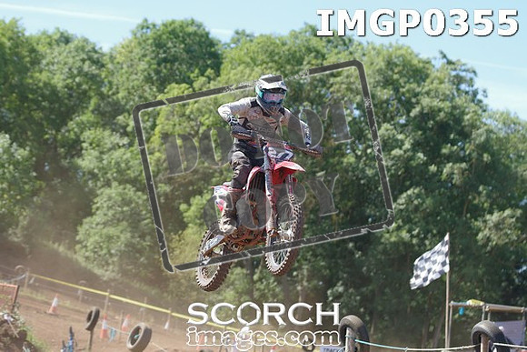 IMGP0355