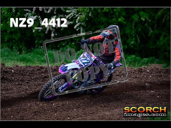 InterGreen-311