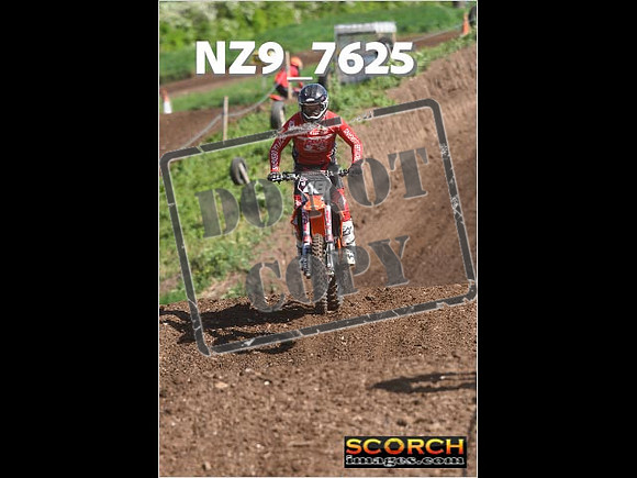 Experts-059