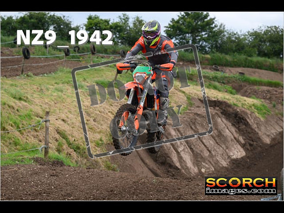 Experts-161