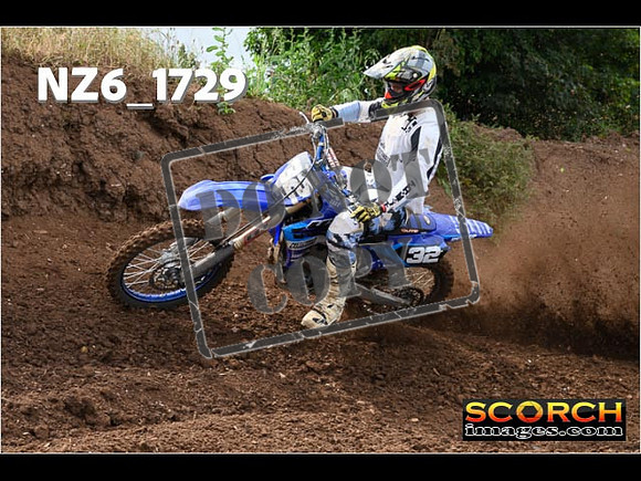 Experts-045