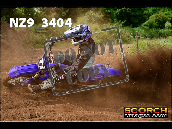 Experts-037