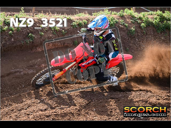 Experts-087