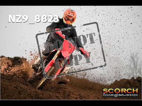 Experts-116
