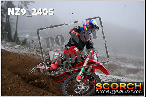 Experts-029