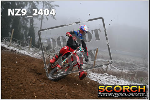 Experts-028