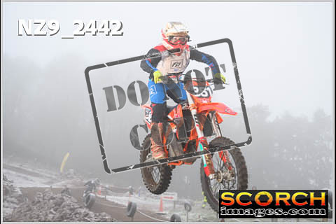 Experts-061