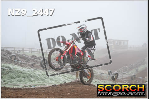 Experts-066