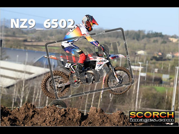 Experts-037