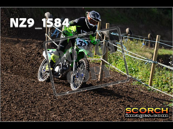 Experts-266