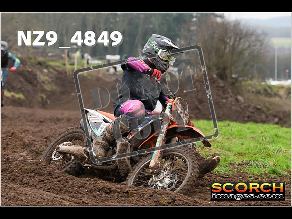 Experts-325
